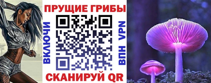 где купить   Хилок  Псилоцибиновые грибы Magic Shrooms 