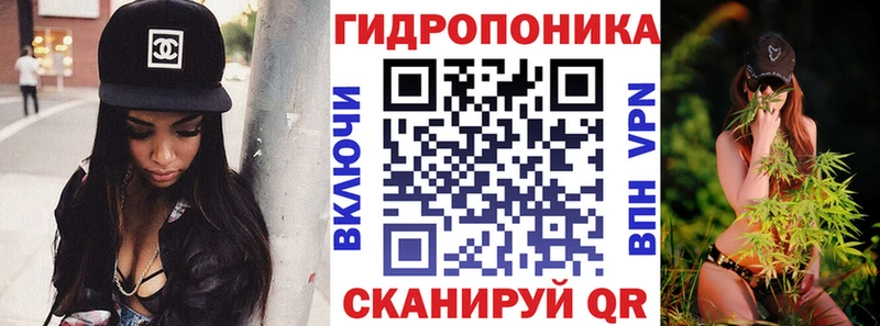 Каннабис Amnesia  цена   Хилок 